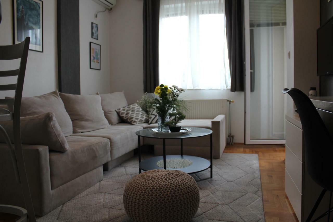 Very Central Cozy Apartment Нови-Сад Экстерьер фото